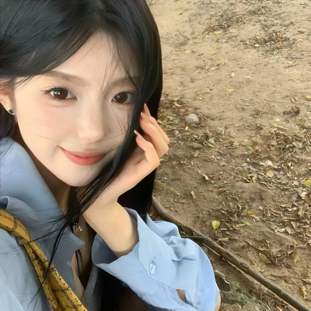 查科 高清封面