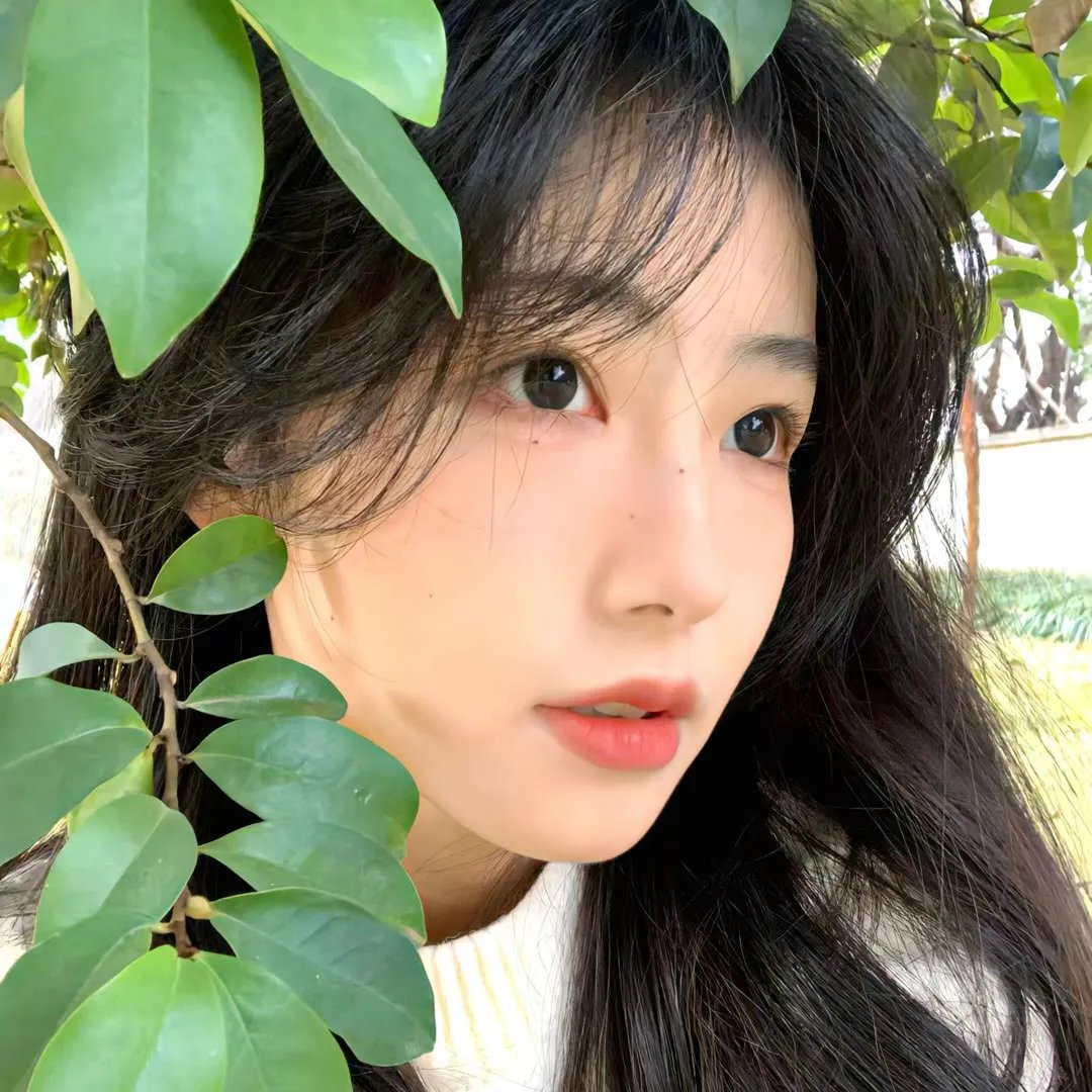 最后一个恶魔 高清封面